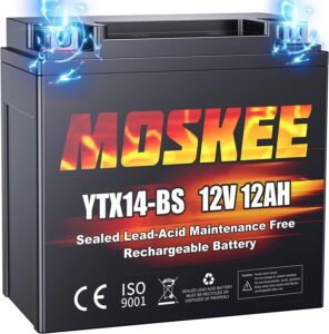 Moskee YTX14-BS